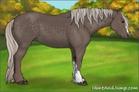 Horse Color:Silver Black 