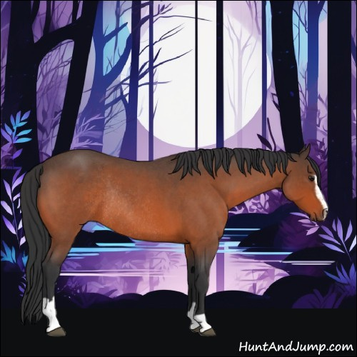 Horse Color:Bay Roan Sabino Rabicano