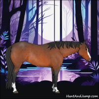 Horse Color:Bay Roan Sabino Rabicano