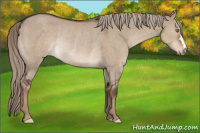 Horse Color:Liver Red Dun Rabicano 