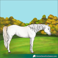 Horse Color:Gray Palomino Onyx Mushroom 