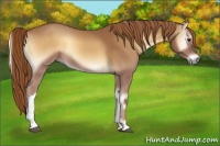 Horse Color:Red Onyx 