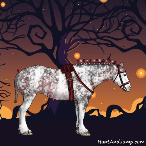 Horse Color:White Spotted Bay Appaloosa Rabicano 