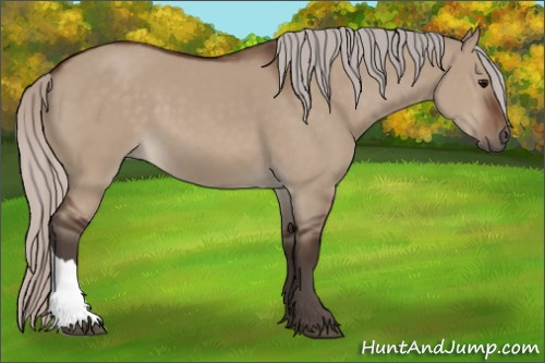 Horse Color:Silver Brown Dun 