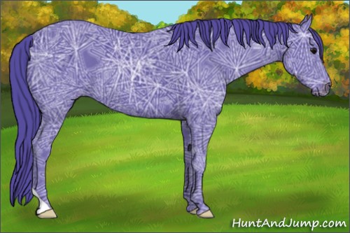 Horse Color:Watercolor Black Ice