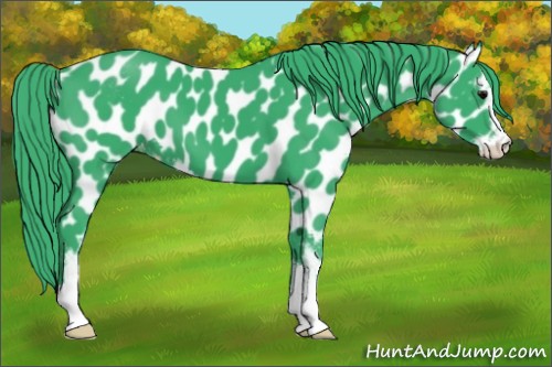 Horse Color:Watercolor Black Sabino Appaloosa