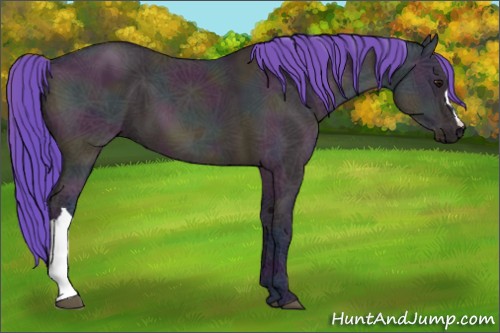 Horse Color:Watercolor Midnight Bay Ice Dun 