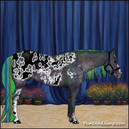 Horse Color:Painted Watercolor Midnight Brown Ice Onyx Sabino Appaloosa 