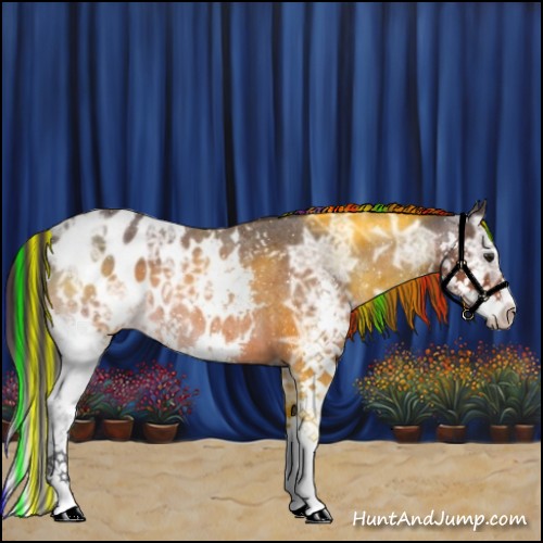 Horse Color:Painted Brown Ice Roan Sabino Splash Appaloosa 