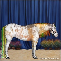 Horse Color:Painted Brown Ice Roan Sabino Splash Appaloosa 