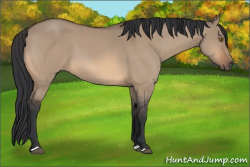 Horse Color:Bay Dun Mushroom