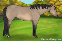 Horse Color:Bay Dun Mushroom 