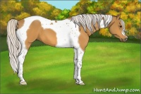 Horse Color:Silver Buckskin Tobiano 