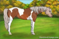 Horse Color:Silver Bay Tobiano
