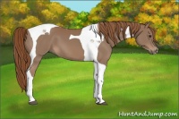 Horse Color:Chestnut Tobiano 