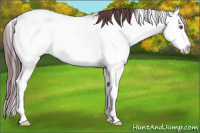 Horse Color:Chocolate Brown Chinchilla Ice Mushroom Sabino Splash 