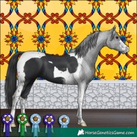 Horse Color:Black Tobiano 