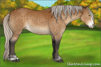 Horse Color:Silver Buckskin Sabino
