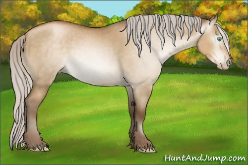 Horse Color:Gray Silver Smoky Grullo Pearl Sabino