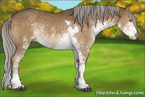 Horse Color:Chocolate Palomino Sabino