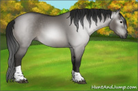 Horse Color:Gray Grullo Tobiano