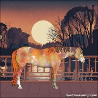 Horse Color:Nacre White Spotted Chocolate Classic Cream Champagne Rabicano 