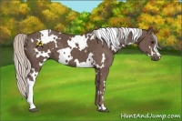 Horse Color:White Spotted Silver Black 