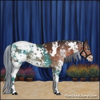 Horse Color:Painted White Spotted Brown Splash Appaloosa 