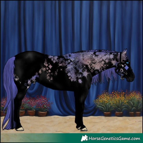 Horse Color:Void Watercolor White Spotted Chocolate Blue Onyx Ice Sabino Splash Snowcap Brindle