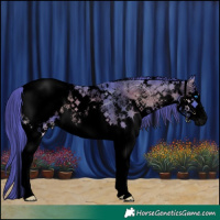 Horse Color:Void Watercolor White Spotted Chocolate Blue Onyx Ice Sabino Splash Snowcap Brindle 