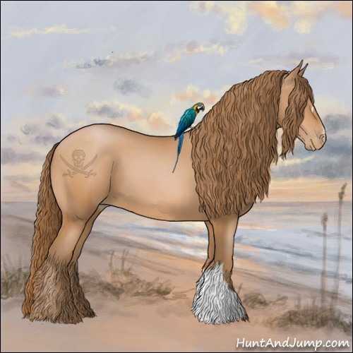 Horse Color:Bay Pearl 