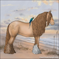 Horse Color:Bay Pearl 