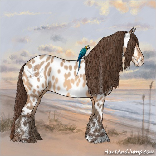 Horse Color:Amber Champagne Appaloosa 