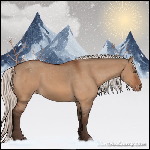 Horse Color:Silver Brown Dun Appaloosa 