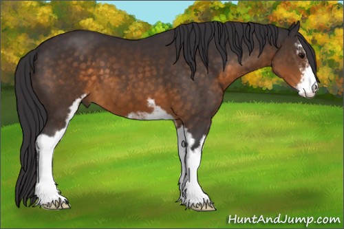 Horse Color:Buckskin Sabino 