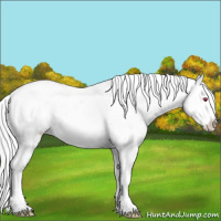 Horse Color:White Spotted Red Onyx Chinchilla Ice Varnish Rabicano 