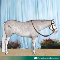 Horse Color:Chocolate Silver Grullo Chinchilla Splash 