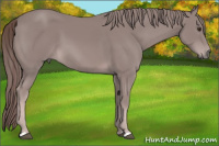 Horse Color:Platinum Chestnut 
