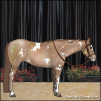Horse Color:White Spotted Black Pearl 