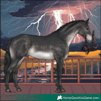 Horse Color:Platinum Brown 