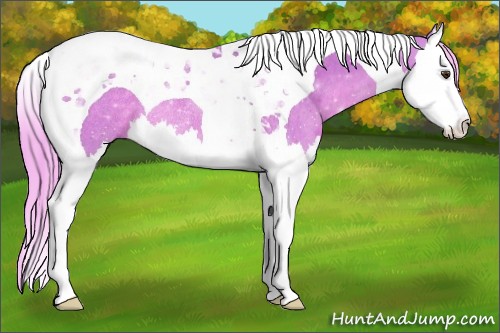 Horse Color:Watercolor Palomino Splash Tobiano Rabicano 