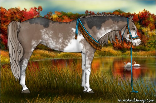 Horse Color:Liver Red Dun Sabino 