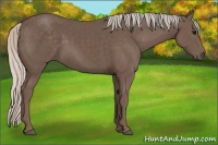 Horse Color:Silver Black 