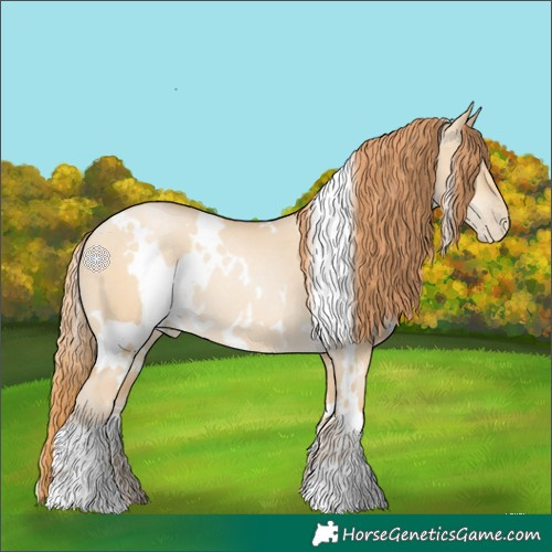 Horse Color:White Spotted Smoky Grullo Pearl Rabicano