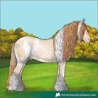 Horse Color:White Spotted Smoky Grullo Pearl Rabicano