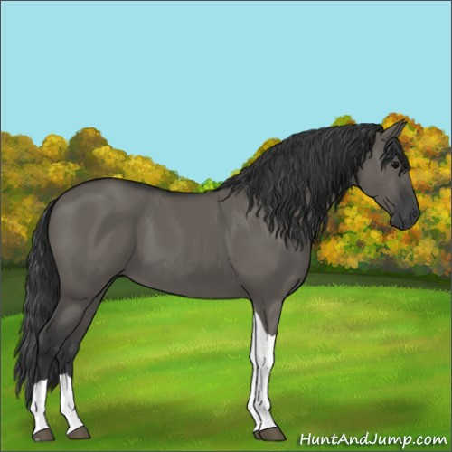 Horse Color:Grullo Tobiano