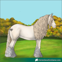 Horse Color:Buckskin Roan Pearl  and Buckskin Roan Pearl Splash 