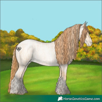 Horse Color:Buckskin Roan Pearl and Buckskin Roan Pearl