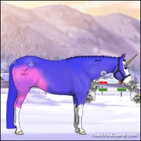 Horse Color:Watercolor Black Splash