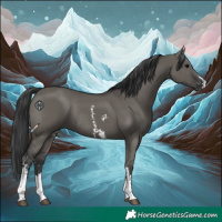 Horse Color:Grullo Sabino Rabicano 